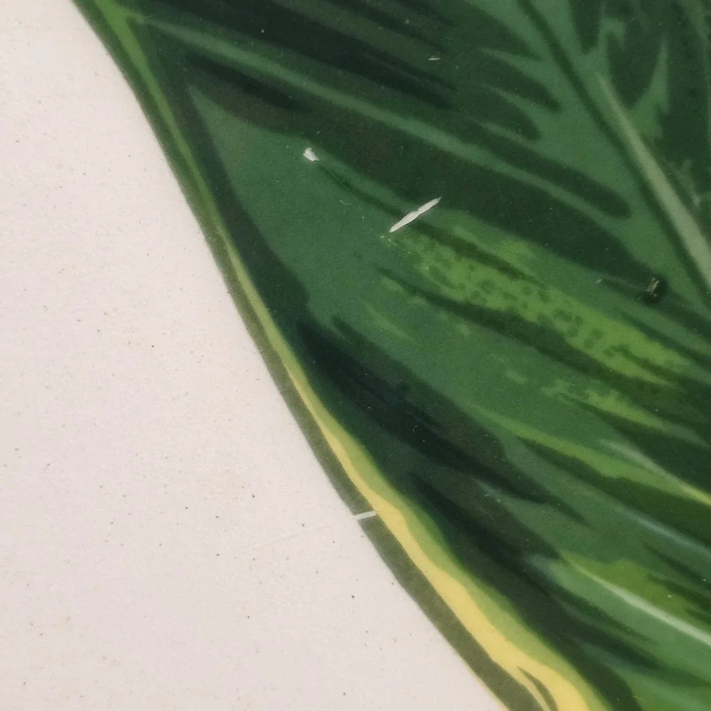 Santa Anita Ware Bird Of Paradise Flowers Of Hawaii Chop Plate & Vegetable Bowl - Picture 5 of 11